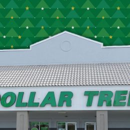 7 Best Dollar Tree Christmas Decor Items in Their New "Sneak Peek"