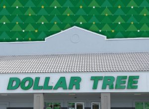 7 Best Dollar Tree Christmas Decor Items in Their New "Sneak Peek"