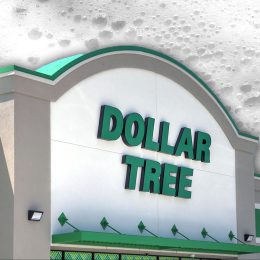7 Best New Dollar Tree Cleaning Finds Hitting Shelves This Week