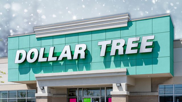 7 Best New Dollar Tree Winter Decor Finds Hitting Shelves