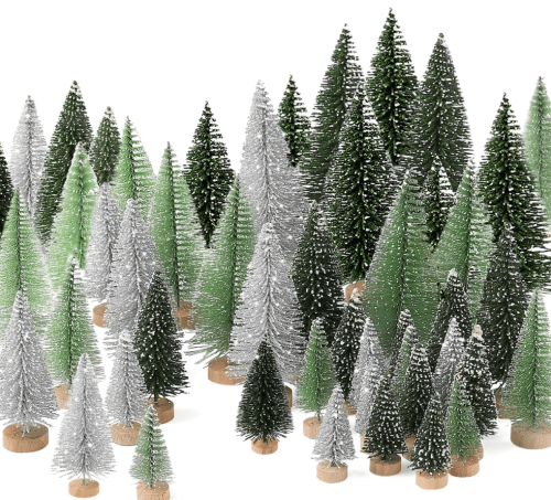 green and silver bottlebrush trees