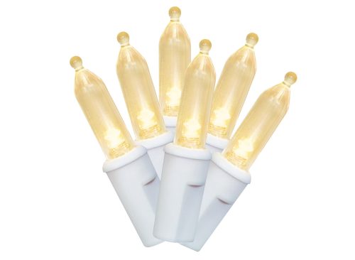 Indoor/Outdoor 50-Count LED Mini Christmas String Lights