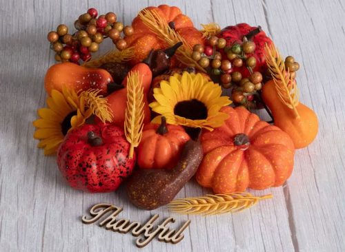 Pumpkins, Gourds & Pinecones