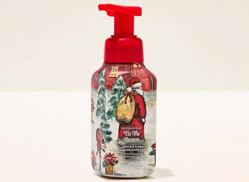 'Tis The Season Gentle & Clean Foaming Hand Soap