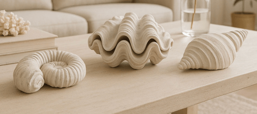 seashell decorations