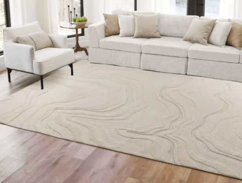 beige textured rug in living room