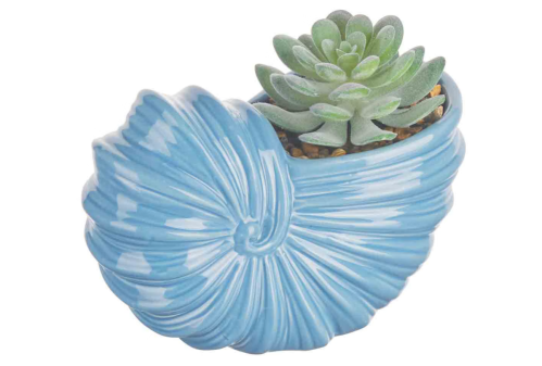 blue seashell succulent planter