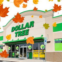 dollar tree storefront with falling leaves