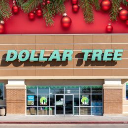 7 Best New Dollar Tree Christmas Craft Supplies Hitting Shelves This Week