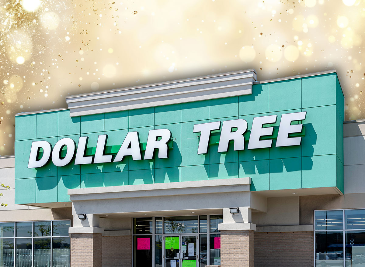 7 Best New Dollar Tree Finds Arriving for November