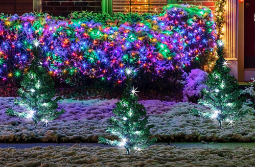 Christmas tree pathway markers on a snowy lawn
