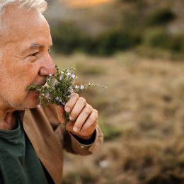 Senior man smelling fresh herbs in nature on a picnic