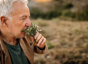 Senior man smelling fresh herbs in nature on a picnic