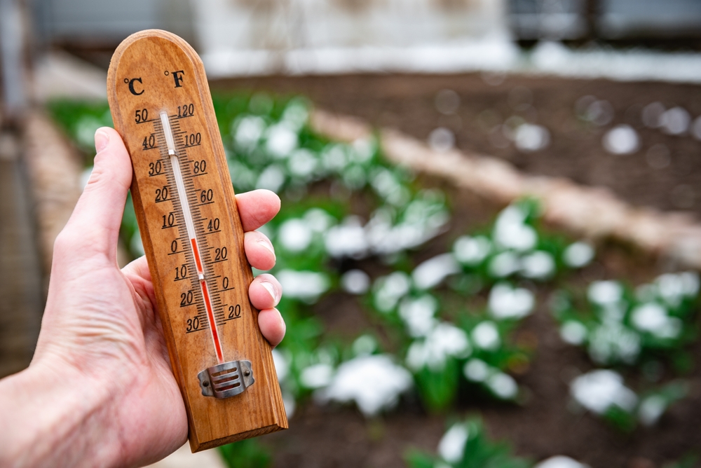 A hand holding a thermometer with falling temperature reading and snow on a bush in the background