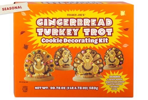 gingerbread cookie decorating kit