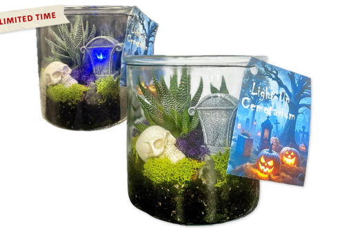 halloween cematariums