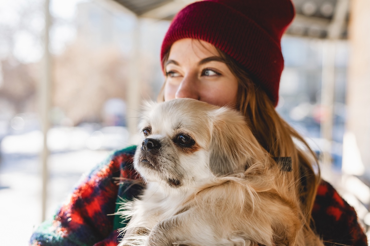 woman holding a Tibetan Spaniel dog