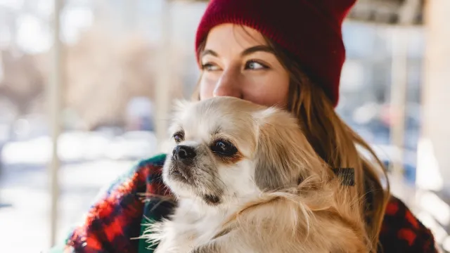 woman holding a Tibetan Spaniel dog