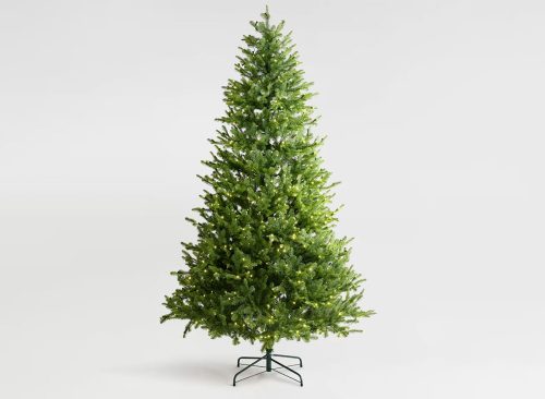 Fraser Fir Christmas Tree: Lit