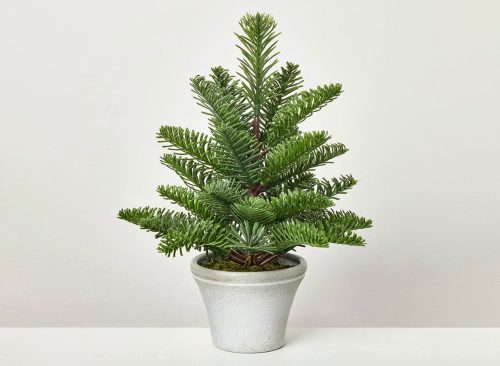Potted Spruce Artificial Tree - Hearth & Hand™ with Magnolia