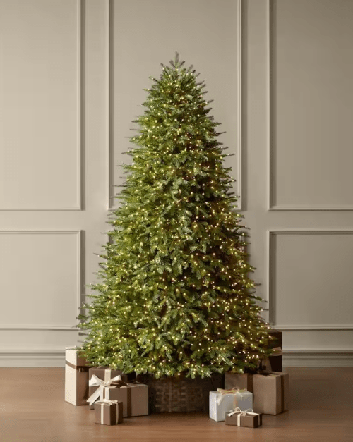 Twinkling Balsam Fir