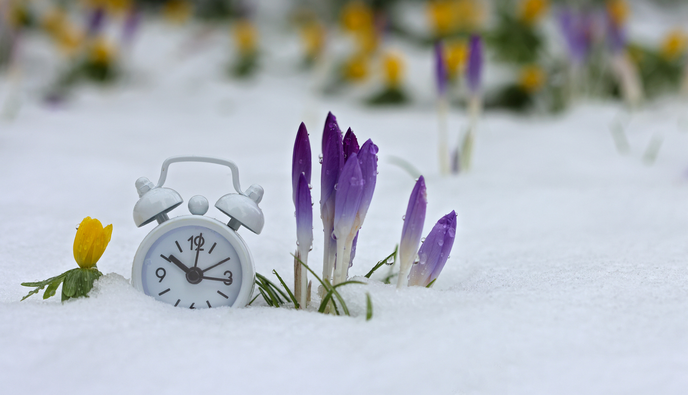 Small alarm clock between spring and winter