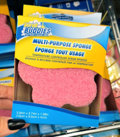 dollar tree sponge