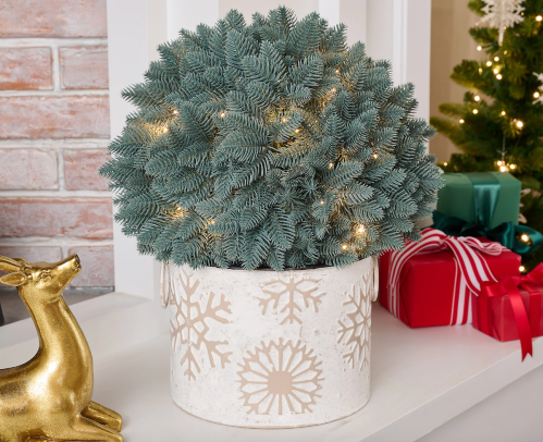 faux christmas plant