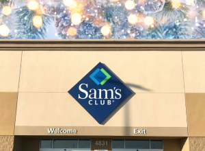6 New Sam's Club Outdoor Christmas Decorations