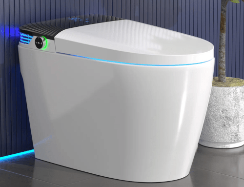 smart toilet