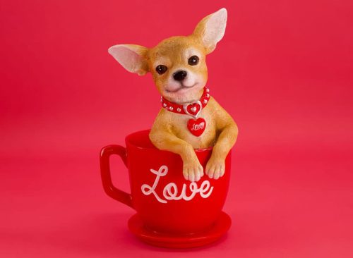 Dog in Love Cup