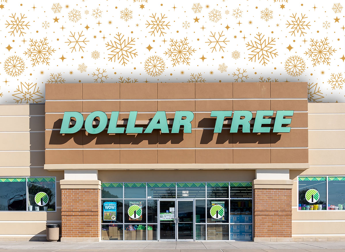 Dollar Tree Winter