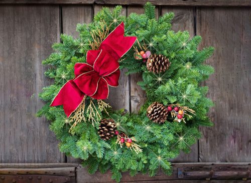 Fresh Cranberry Splash Lighted LED Wreath