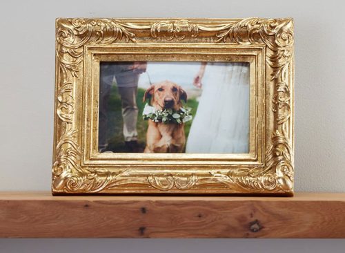 Gold Photo Frame