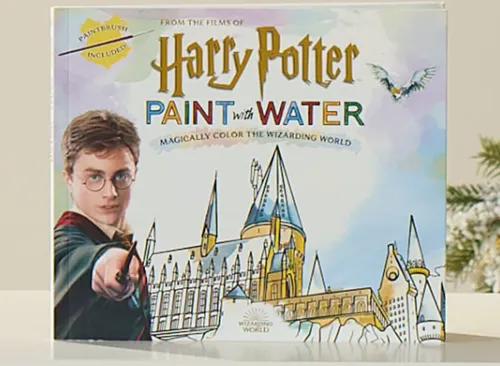 Harry Potter Paint with Water Book