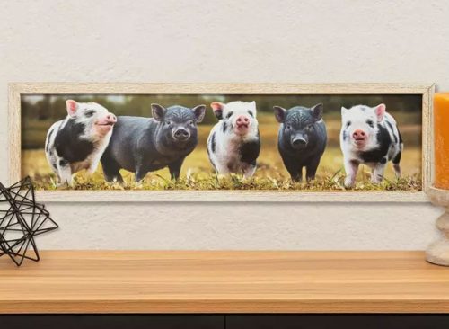 Open Road Brands Happy Piglets Wood Wall Decor