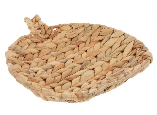 Pumpkin Water Hyacinth Tray