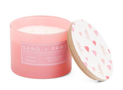 SAND AND PAWS 12oz Guava Mango Cat Balloons Candle