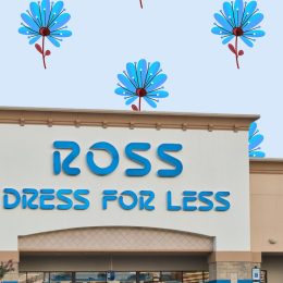10 Cozy Ross Dress for Less Comforters