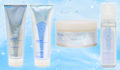 Bath & Body Works Water Winter Mint products