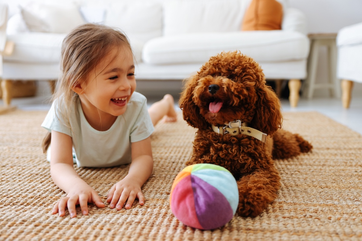little girl laying on floor playing with brown toy poodle