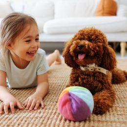 little girl laying on floor playing with brown toy poodle