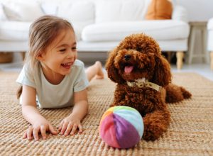 little girl laying on floor playing with brown toy poodle