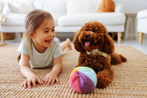 little girl laying on floor playing with brown toy poodle