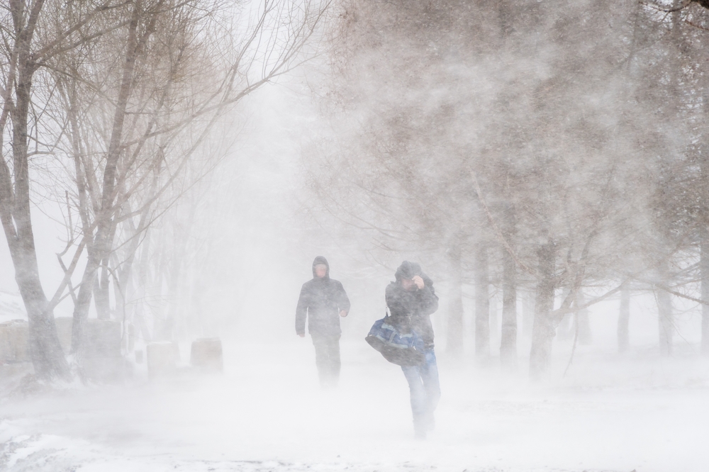 People walking through a blizzard in a park