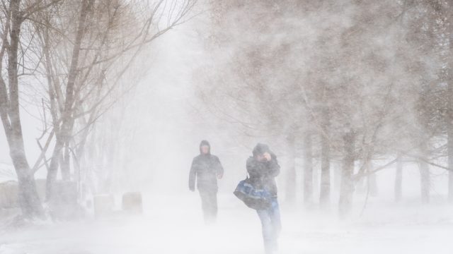 People walking through a blizzard in a park