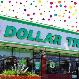 11 Dollar Tree Finds for the New Year