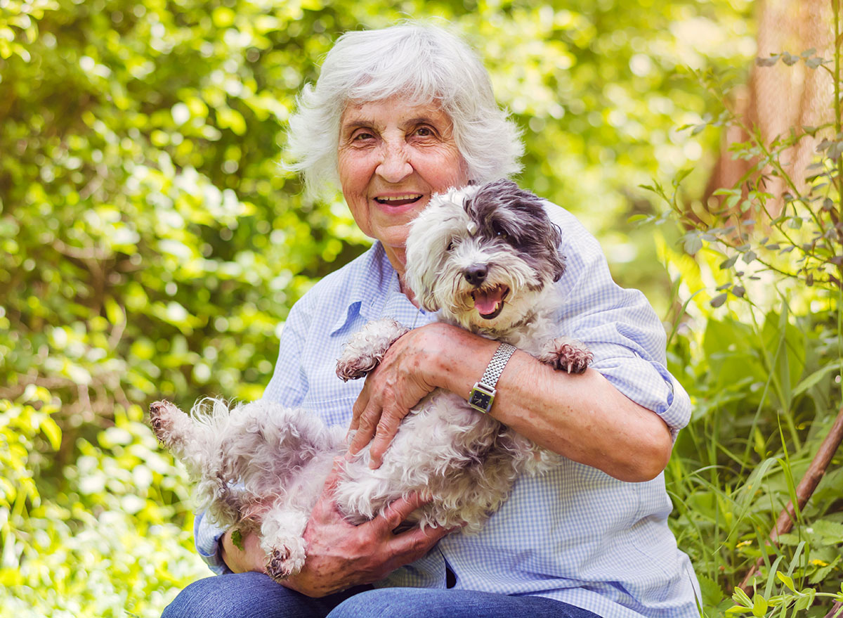 Happy Smiling Senior Woman Hugging her White Havanese Dog Outdoor in the Summer Nature. Active Seniors Concept