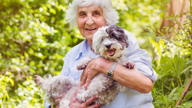 Happy Smiling Senior Woman Hugging her White Havanese Dog Outdoor in the Summer Nature. Active Seniors Concept