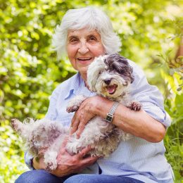 Happy Smiling Senior Woman Hugging her White Havanese Dog Outdoor in the Summer Nature. Active Seniors Concept